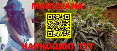 МДПВ Пугачёв