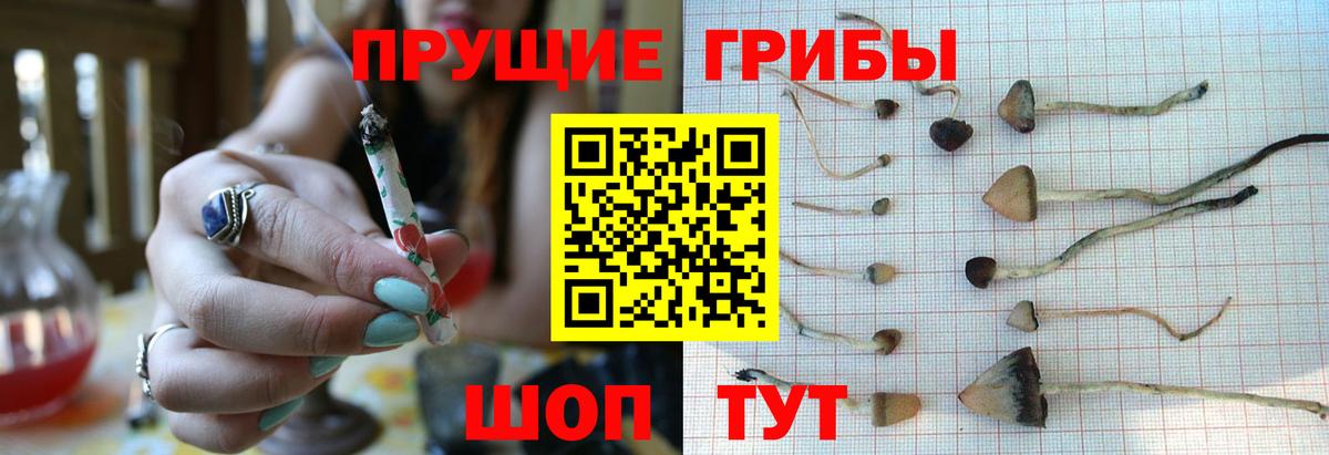 Псилоцибиновые грибы MAGIC MUSHROOMS Ступино